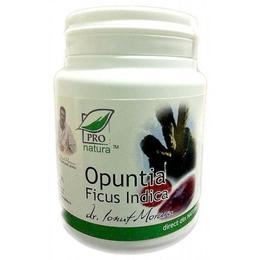 Opuntia ficus indica medica, 60 capsule