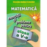 Matematica - Clasa 5 - Exercitii si probleme - Gheorghe Adalbert Schneider, editura Hyperion