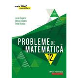 Probleme de matematica - Clasa 12 - Consolidare - Lucian Dragomir, editura Paralela 45