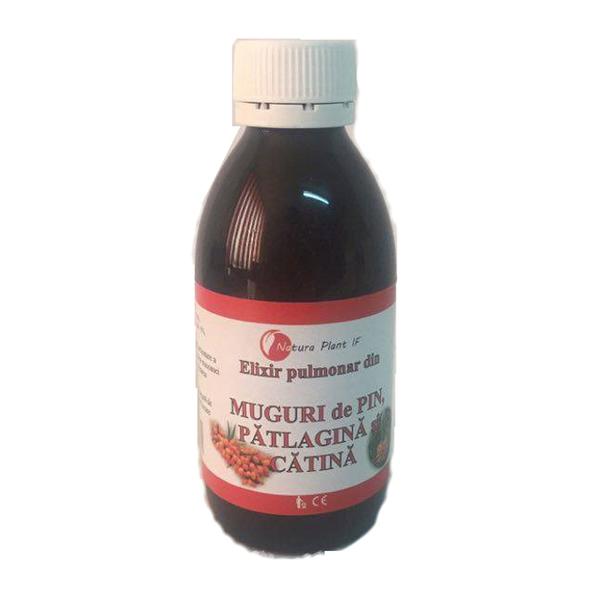 Elixir Muguri de Pin, Patlagina si Catina Natura Plant Poieni, 200 ml