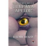 Blestemul de la cumpana apelor - Elizabeth Kay, editura Rao