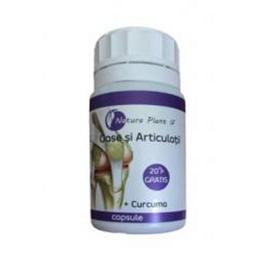 Oase si articulatii + curcuma natura plant poieni, 72 capsule