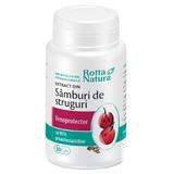 Extract din Samburi de Struguri Rotta Natura, 30 capsule