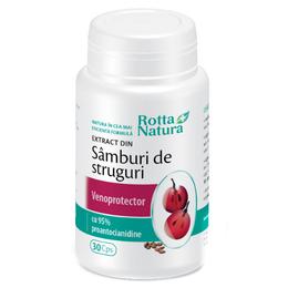 Extract din samburi de struguri rotta natura, 30 capsule