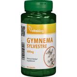 Gymnema Sylvestre 400 MG Vitaking, 90 capsule