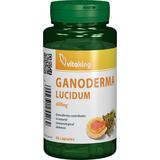 Ganoderma Lucidum 400 MG Vitaking, 60 capsule