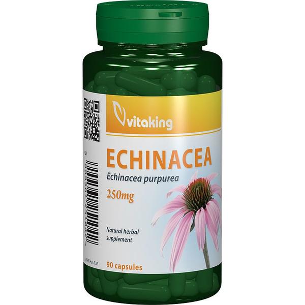 Echinacea 250 mg vitaking, 90 capsule