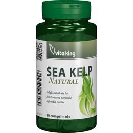 Alga marina 500 mg vitaking, 90 capsule