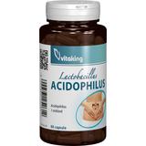Acidophilus Vitaking, 60 capsule