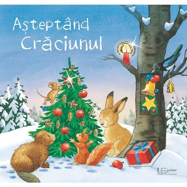 Asteptand craciunul - sabine cuno, editura univers enciclopedic