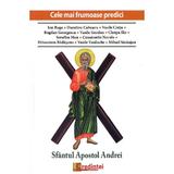 Sfantul Apostol Andrei. Cele mai frumoase predici - Ion Buga, editura Lumea Credintei