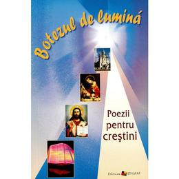 Botezul de lumina. poezii pentru crestini - ala bujor, editura epigraf