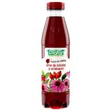 Sirop de Macese si Echinacea Plafar, 500ml