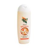 Sampon Sebacon Par Normal si Uscat Plant Activ, 200 ml