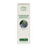 Concentrat Mladite Rozmarin Plantextrakt, 15 ml