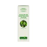 Concentrat Muguri de Mesteacan Pufos Plantextrakt, 15 ml