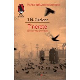 Tinerete. Scene din viata provinciala - J.M. Coetzee, editura Humanitas