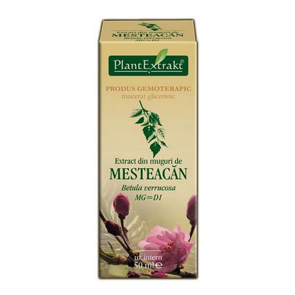 Extract din Muguri de Mesteacan Plantextrakt, 50 ml