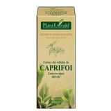 Extract Mladite de Caprifoi Plantextrakt, 50 ml