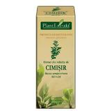 Extract Mladite de Cimisir Plantextrakt, 50 ml