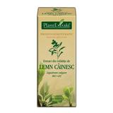 Extract Mladite de Lemn Cainesc Plantextrakt, 50 ml
