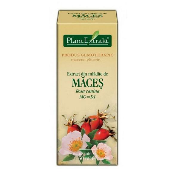 Extract Mladite de Maces Plantextrakt, 50 ml