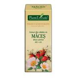 Extract Mladite de Maces Plantextrakt, 50 ml