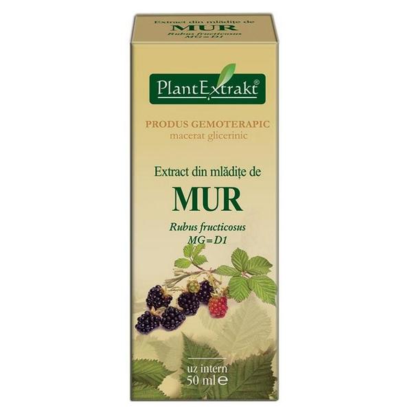 Extract Mladite de Mur Plantextrakt, 50 ml