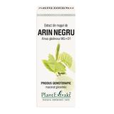 Extract Muguri de Arin Negru Plantextrakt, 50 ml