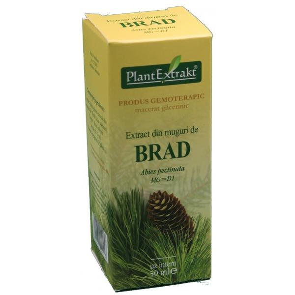 Extract Muguri de Brad Plantextrakt, 50 ml