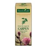 Extract Muguri de Carpen Plantextrakt, 50 ml