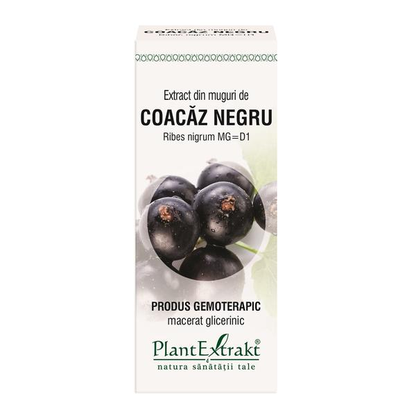 Extract Muguri de Coacaz Negru Plantextrakt, 50 ml