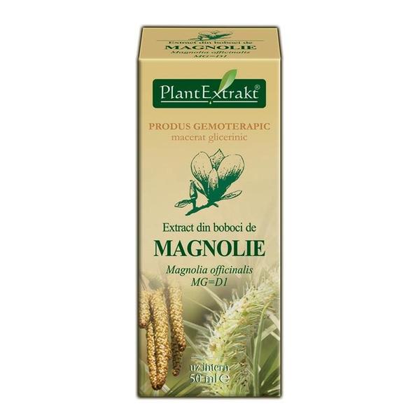 Extract Muguri de Magnolie Plantextrakt, 50 ml