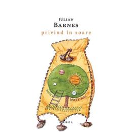 Privind in soare - julian barnes, editura nemira