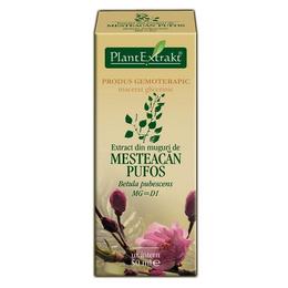 Extract muguri de measteacan pufos plantextrakt, 50 ml