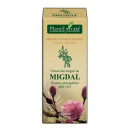 Extract muguri de migdal plantextrakt, 50 ml