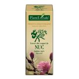 Extract Muguri de Nuc Plantextrakt, 50 ml