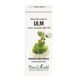 Extract Muguri de Ulm Plantextrakt, 50 ml