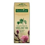 Extract Muguri de Vita de Vie Plantextrakt, 50 ml