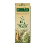 Extract Seminte Frasin Plantextrakt, 50 ml