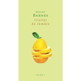 Tristeti de lamaie - julian barnes, editura nemira