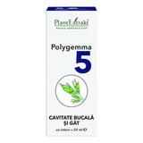 Polygemma Nr 5 Cavitate Bucala si Gat Plantextrakt, 50 ml