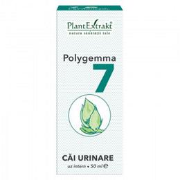 Polygemma nr 7 cai urinare plantextrakt, 50 ml