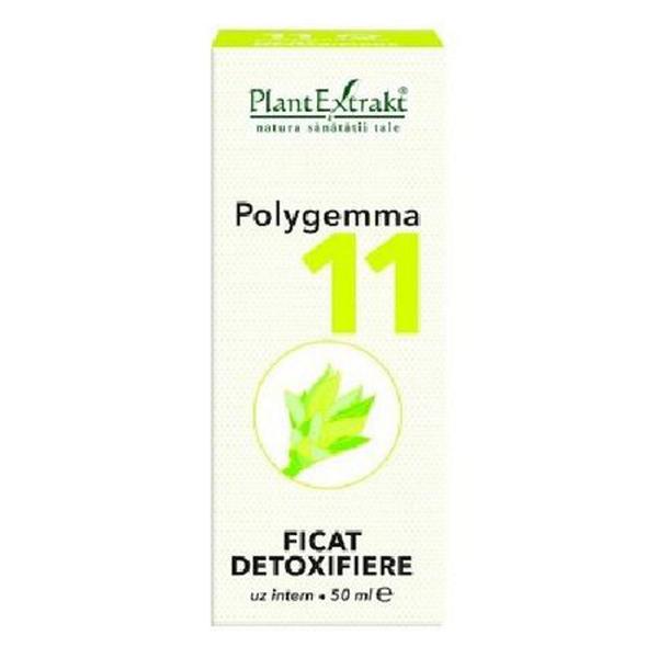 Polygemma Nr 11 Ficat- Detoxifiere Plantextrakt, 50 ml