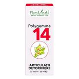 Polygemma Nr 14 Articulatii - Detoxifiere Plantextrakt, 50 ml