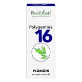 Polygemma Nr 16 Plamani - Detoxifiere Plantextrakt, 50 ml