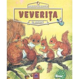 Animale salbatice in natura: veverita - renne, editura didactica publishing house