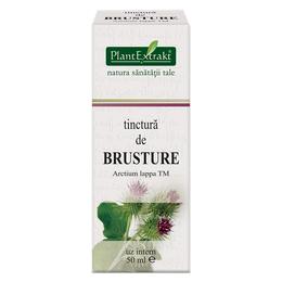 Tinctura de brusture plantextrakt, 50 ml
