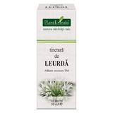 Tinctura de Leurda Plantextrakt, 50 ml