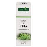 Tinctura de Tuia Plantextrakt, 30 ml